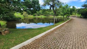 Image 62 - 877777