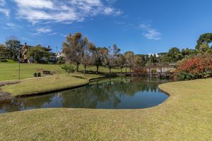 Image 46 - 877844