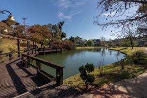 Image 45 - 877844
