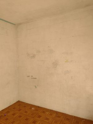 Image 4 - 877869