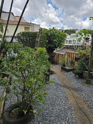 Image 26 - 877878