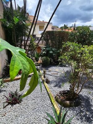Image 10 - 877878