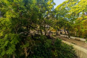 Image 17 - 878046