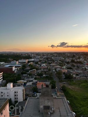 Image 16 - 878067