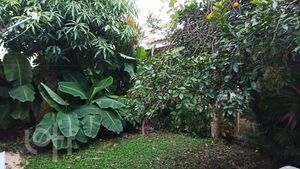 Image 5 - 878090
