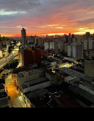 Image 12 - 878163