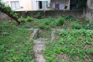 Image 4 - 878265