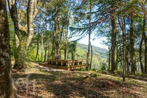 Image 33 - 878413