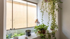Image 9 - 878422