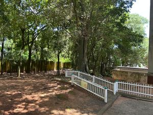 Image 17 - 878491