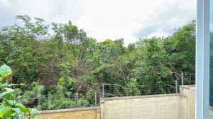 Image 31 - 878583