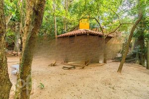 Image 30 - 878635
