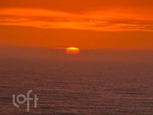 Image 17 - 878682