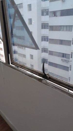 Image 13 - 878839