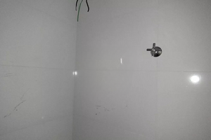 Image 10 - 878842