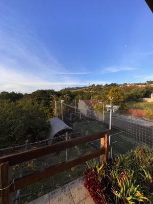 Image 5 - 878878