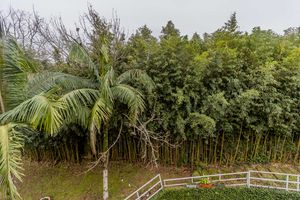 Image 84 - 879161