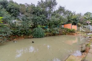 Image 109 - 879161