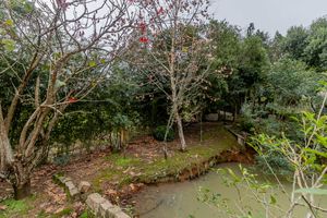 Image 113 - 879161