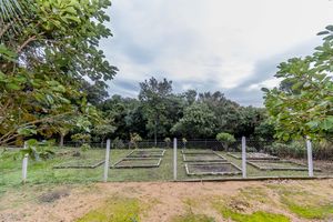 Image 114 - 879161