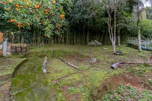 Image 117 - 879161