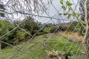 Image 125 - 879161