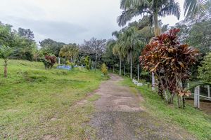 Image 2 - 879161