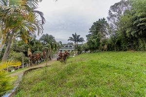 Image 145 - 879161