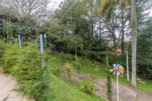 Image 146 - 879161