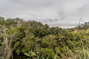 Image 72 - 879161