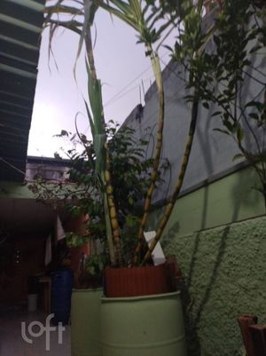 Image 8 - 879186
