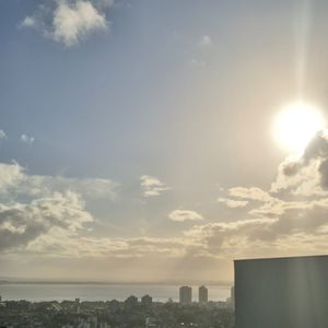 Image 14 - 879279