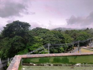 Image 4 - 879370