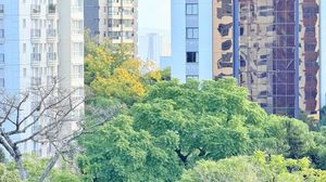 Image 8 - 879567