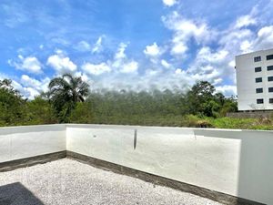 Image 4 - 879879