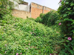 Image 23 - 879901