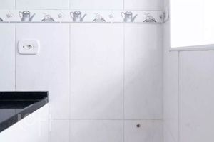 Image 8 - 879911