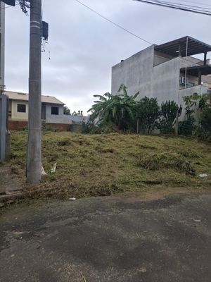 Image 4 - 879987