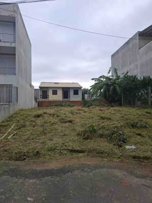 Image 5 - 879987