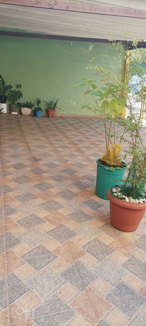 Image 12 - 880088