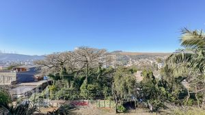Image 8 - 880204