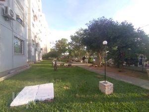 Image 13 - 880417