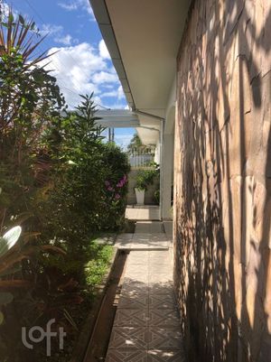 Image 6 - 880501