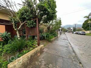 Image 6 - 880523