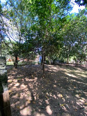 Image 3 - 880658