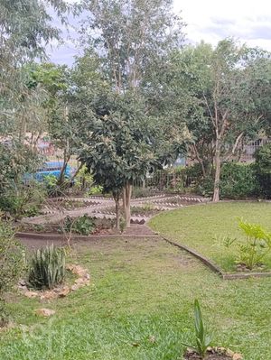 Image 29 - 880815