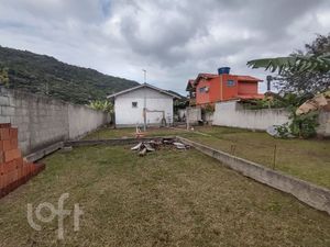 Image 8 - 880881