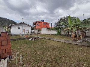 Image 9 - 880881