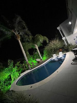 Image 8 - 880888