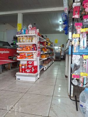 Image 11 - 880975